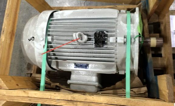 30 HP Weg W21 Severe Duty CC029A Electric Motor